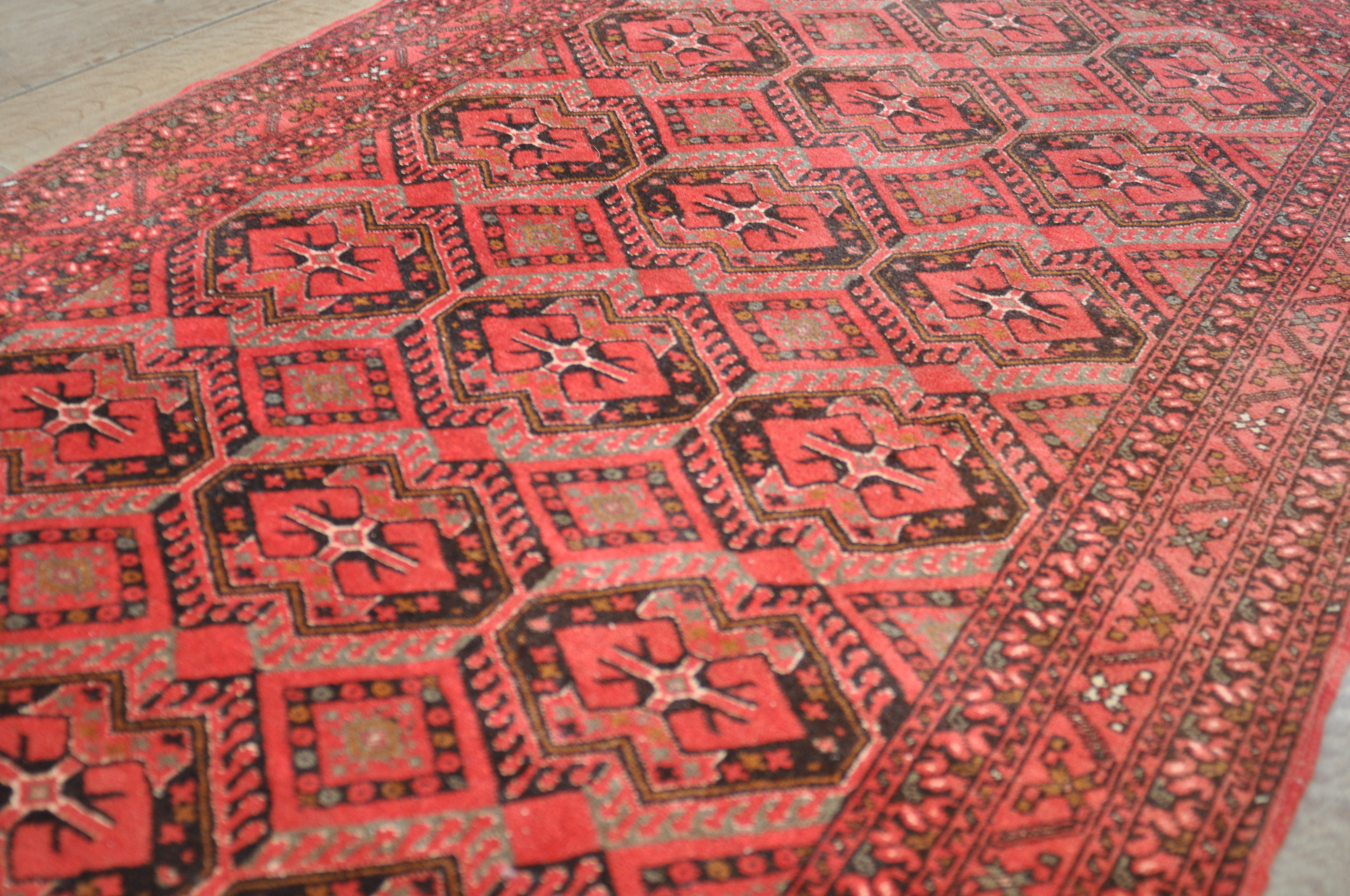 Baluch
